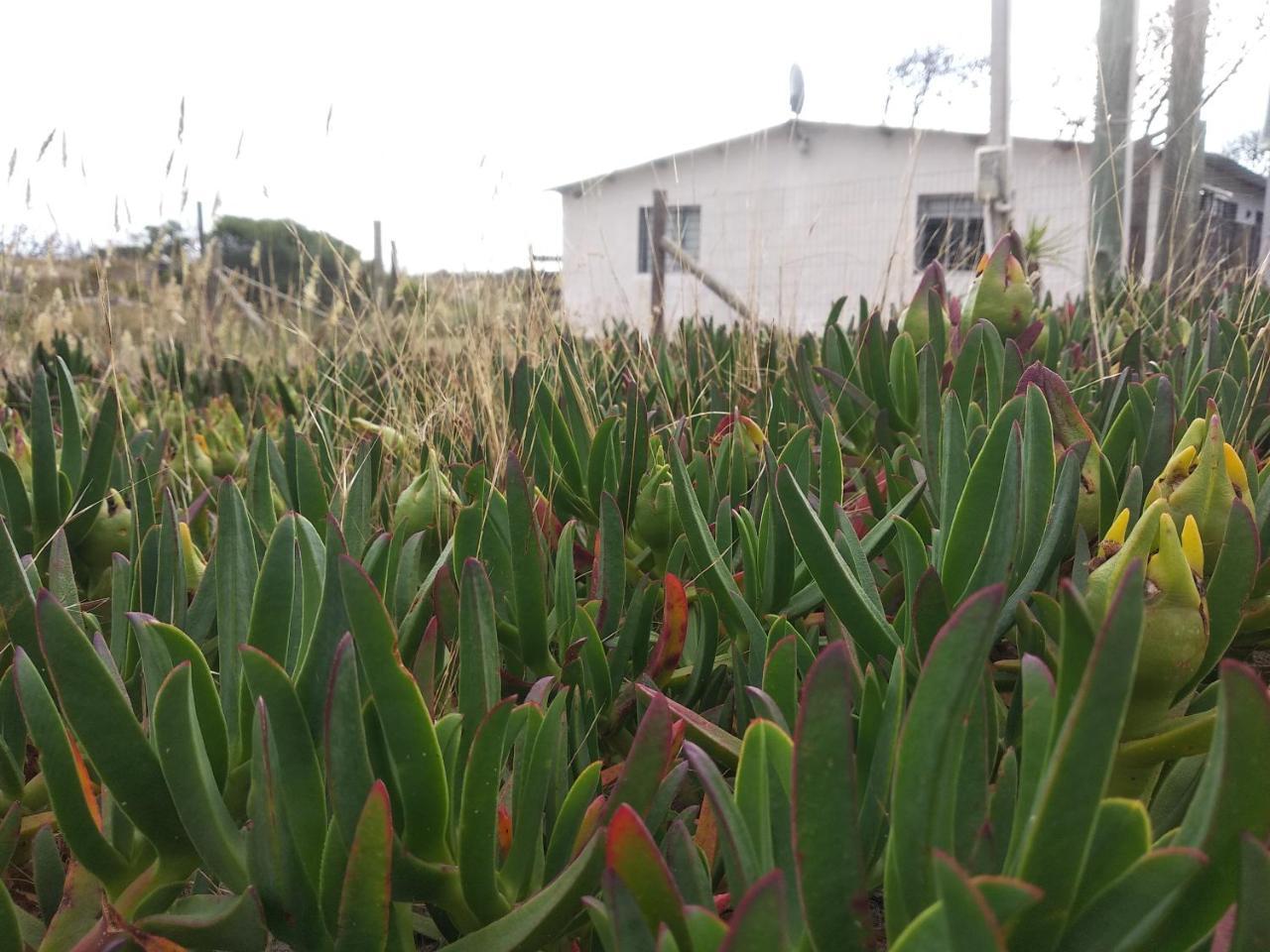 Villa La casa de Juan Cuchilla Alta Exterior foto